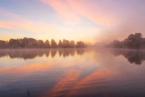Morning fog at the Grutschenteich in the Nassau, Weinböhla, Saxony, Germany