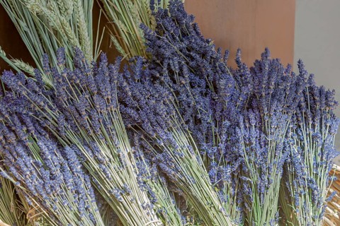 Dried Lavender Basket, Market Sale, Sault, Provence, France