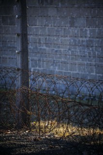 Rusty barbed wire, taken at the Sachsenhausen concentration camp memorial. Oranienburg, 23.04.2024