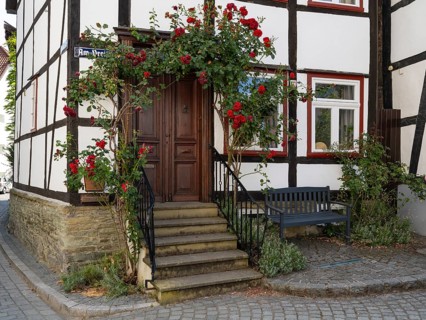 Half-timbered house house, entrance surrounded by roses, Altstadt, Soest, Westphalia, North