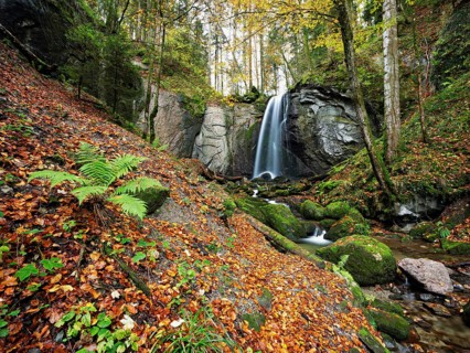 Waterfall, Finstersee, ferns and discoloured beech leaves in the foreground, Canton Zug,