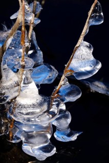 Ice on the banks of the Elbe, Winter, Dresden, Saxony, Germany