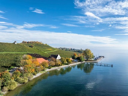 Aerial view of the marina and jetty at the historic Rebgut Haltnau with catering business, outdoor