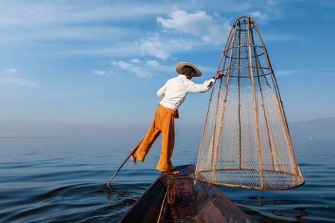 Myanmar travel attraction landmark, Traditional Burmese fisherman with fishing net at Inle lake in