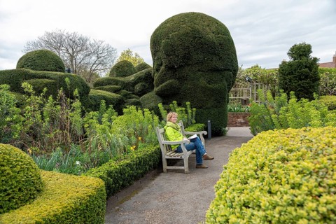 Visitor, garden, Shakespeare's New Place, where his house stood until 1759, Stratford-upon-Avon,