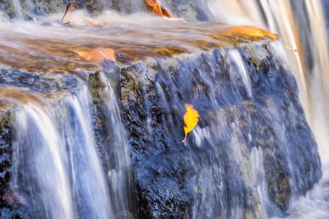 Yellow autumn leaf in a rocky waterfall with flowing water