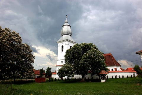 The Reformed Church in Lisznyo, Lisnau, with a blossoming chestnut tree in front, a historic