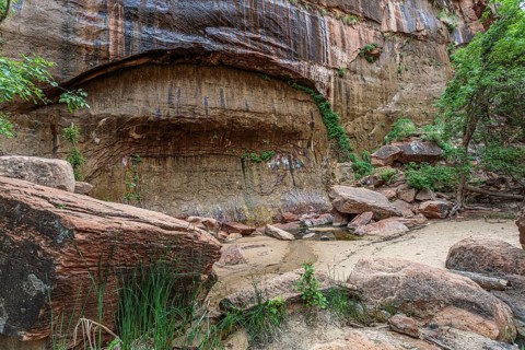 Blind arch in the sandstone rock along the Riverside Walk in the Temple of Sinawava area of Zion