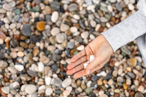 Hands holding seashells above a bed of smooth pebbles. The scene captures a tranquil moment by the