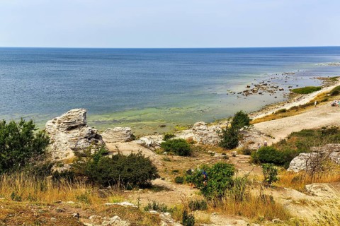 Cliff made of reef limestone, coastline, rock formation, Hoburgsgubben, Hoburgen, south of the