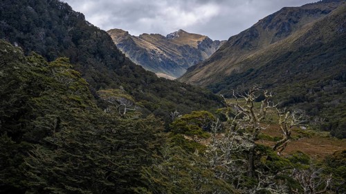 Mountainous landscape along Borland Road, Fiordland National Park, Southland Region, South Island,