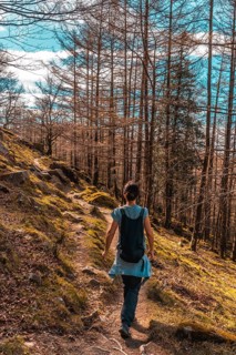 A young woman with a backpack on the pine trail on Mount Adarra in Guipuzcoa. Basque Country