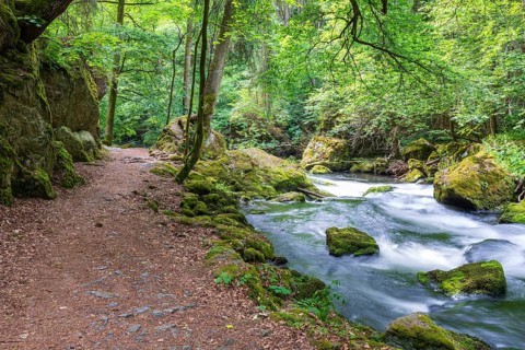 Hiking trail along the river Trieb in the Triebtal valley between the Pöhl dam and the confluence