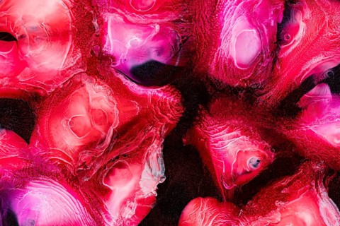 Abstract art featuring vivid pink and red patterns in liquid form, with swirling textures and