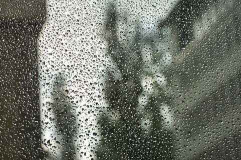 Raindrops on the window pane