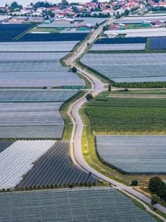 Fruit growing on Lake Constance. Apple orchards with protective nets against hail. Drone photo.