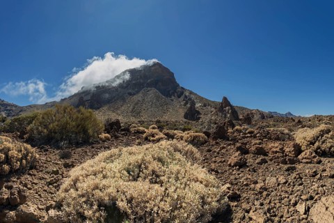 Faded Teide gorse and the summit of Montaña Guajara, also: Alto de Guajara, 2715m, crater walls,