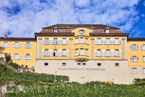 Staatsweingut Meersburg, winery, historic building, hillside vineyard, vines, blue sky, altocumulus