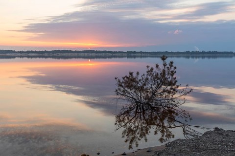 Sunrise at the lake, Lusatian Lakeland, Saxony, Germany