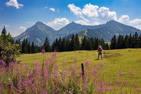 Mountain landscape, alpine meadow with hikers on the Feichtensteinalm, Hintersee, Osterhorngruppe,