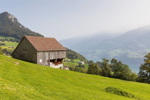 Barn in Amden, Chapf on the left, Lake Walen below, St. Gallen, Switzerland
