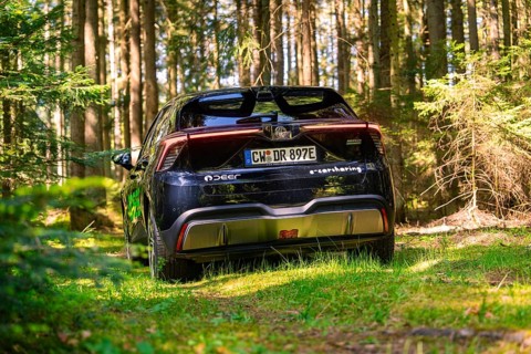 Black car parked in the forest, framed by trees and sunlight, Deer E- Carsharing, Calw, Black