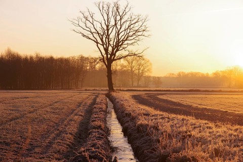 Landscape, winter, sunrise, frost, stream, tree, lighting mood