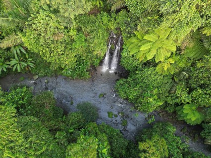 Small waterfall flows into river surrounded by thick tropical jungle and lush greenery, the view of