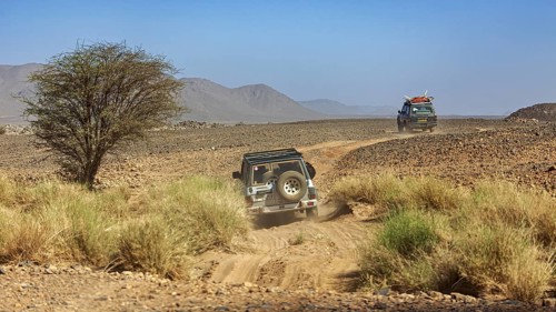 Two off-road vehicles move through a sandy, dry landscape with a lone tree, Off-road vehicle