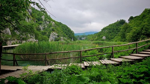 A wooden trail leads through a green river landscape with dense vegetation and rolling hills in the