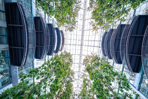 Symmetrical view of a glass roof decorated with plants, Böblingen, Germany