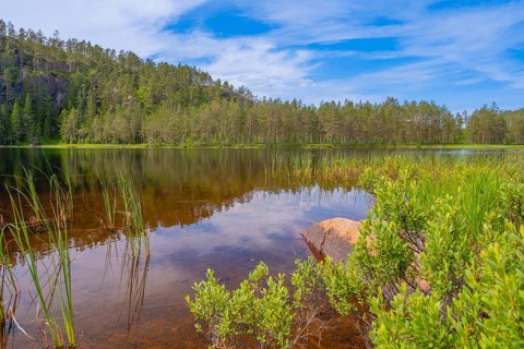 View of Lake Kaldvatn, Kviteseid, Telemark, Norway