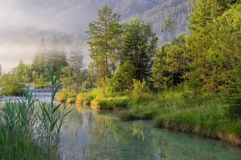 Isar valley nature conservancy area. The wild Isar river flows through its gravel bed past