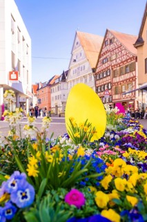 Colourful spring flowers and large decorative eggs in a sun-drenched old town street, Nagold, Black