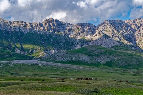 Mountain landscape with horses around the Campo Imperatore high plateau in the Gran Sasso and Monti
