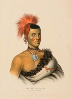 Pes-Ke-Le-Cha-Co, A Pawnee Chief (1841), Native American, Historical Native American tribes from