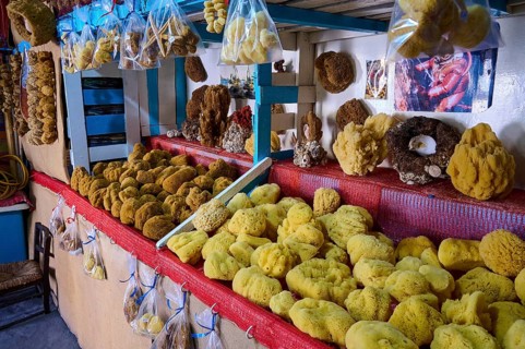 Yellow sponges of various sizes are displayed and sold in a shop, Sponge Maufaktur, Nikolas