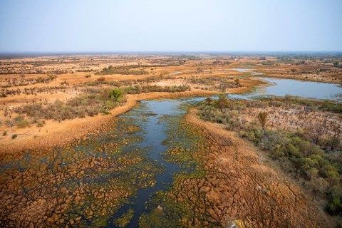 Wetland, landscape, aerial view of the Okavango Delta, near Maun, Okavango Delta, Botswana
