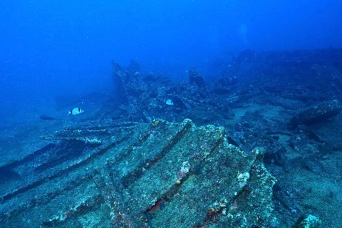 Part of an old shipwreck, covered with marine life, dive site wreck Le Vapeur, Giens peninsula,