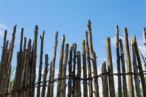 Wooden stockade fence made of tall cut tree trunks of various lengths and size attached and tied