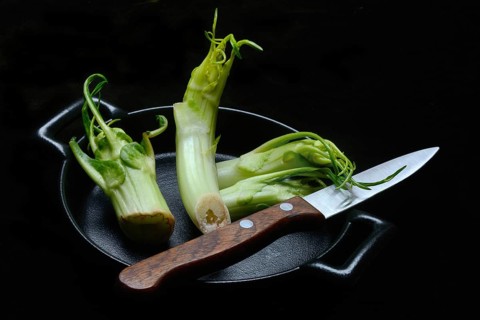 Puntarelle in bowl with knife, asparagus chicory from Italy