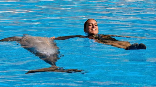 A woman and a dolphin floating relaxed next to each other in the water, dolphin, dolphin
