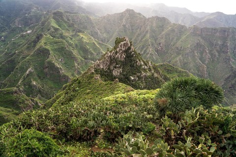 Landscape along the hiking trail from Punta del Hidalgo to Chinamada, Tenerife, Canary Islands,