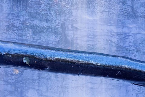 Wet log by a waterfall with a rock face in the background