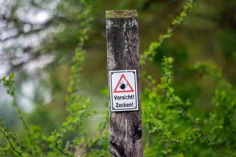 North Rhine-Westphalia, Germany - Caution! Ticks, warning sign on the hiking trail in the