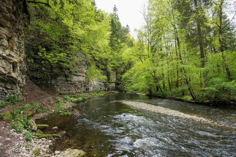 Hiking trail by the river, Wutach Gorge, Bonndorf, Baden-Württemberg, Black Forest, Germany
