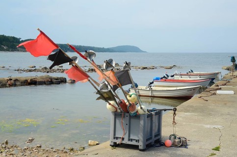 Small fishing harbor with small boats in Vitemölle, Österlen, Stenshuvud in the background,