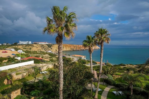 Sagres, Algarve, Portugal - Palm trees on the town beach Praia da Mareta, with the Ponta da Atalaia