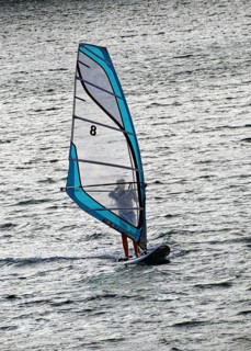 Windsurfer on the water in the harbour of Funchal, Sea, Funchal, Madeira, Portugal