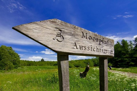 Federal Republic of Germany, Hesse, Rhön, Red Moor, signpost, moorland trail, Rhön, Hesse, Federal